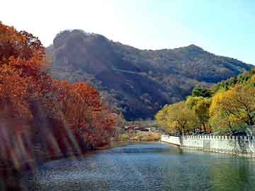 新澳天天开奖资料大全旅游团，汽油清洁剂